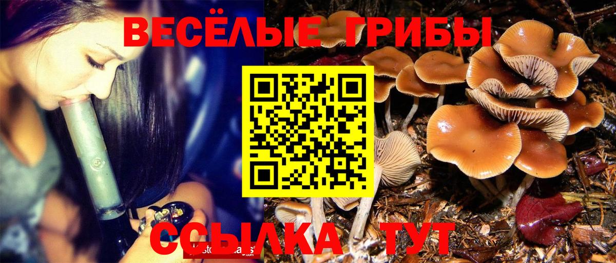 Псилоцибиновые грибы ЛСД Амурск