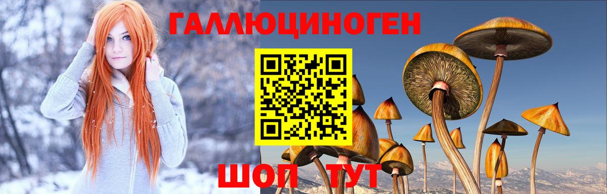 Псилоцибиновые грибы Psilocybe  Вход с VPN  где купить   Амурск 